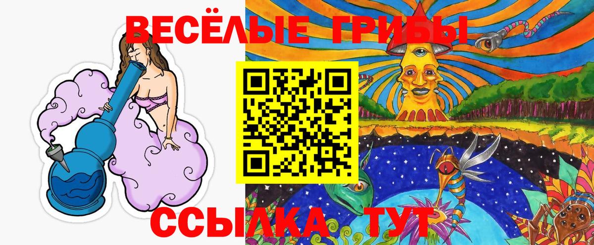 Галлюциногенные грибы MAGIC MUSHROOMS  Вход с VPN  Галлюциногенные грибы MAGIC MUSHROOMS  Хабаровск 